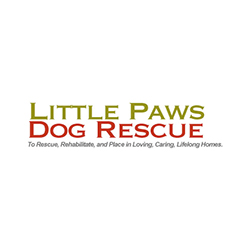 Little Paws Dog Rescue